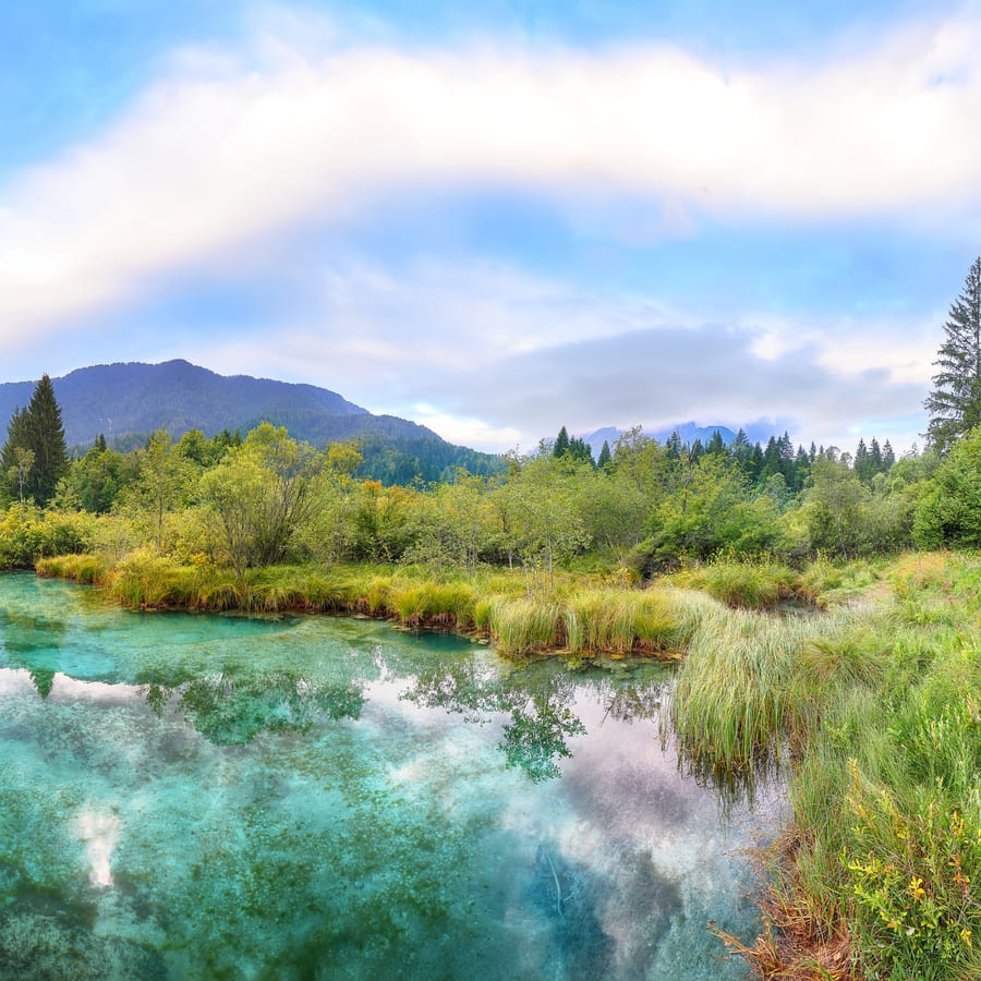 Laguna azul con montañas de fondo y muchos arboles y arbustos verdes